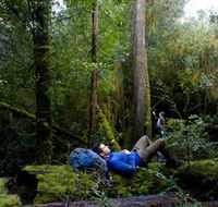 The Tarkine Drive - Accommodation Main Beach