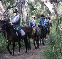 Mirravale Horse Riding School - Accommodation Main Beach