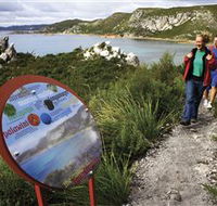 Rocky Cape National Park - Accommodation Main Beach