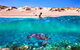 Snorkel The Ningaloo Reef - thumb 0