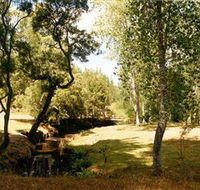 Oldina Picnic Area - Accommodation Main Beach