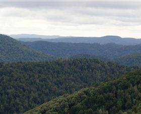 Whyte Hills Lookout - Accommodation Main Beach 1