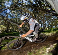 All Terrain Cycles - Accommodation Main Beach