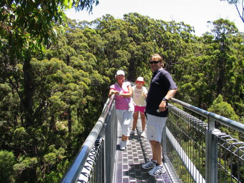 Out Of Sight Tours - Accommodation Main Beach 16
