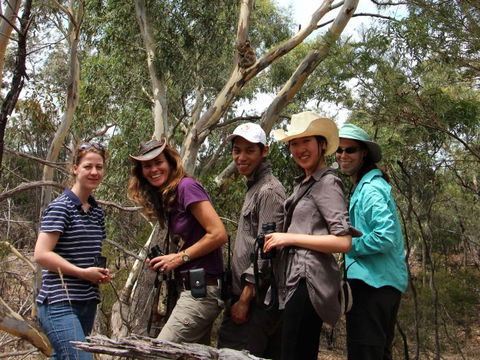 Echidna Walkabout Nature Tours - Accommodation Main Beach 2