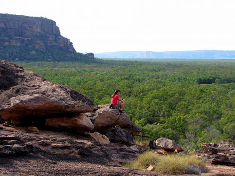 Echidna Walkabout Nature Tours - Accommodation Main Beach 21