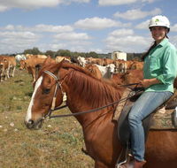 Myella Farm Stay Tours - Accommodation Main Beach