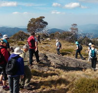 Hedonistic Hiking - Accommodation Main Beach
