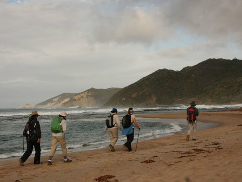 Hedonistic Hiking - Accommodation Main Beach 2