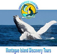 Lighthouse Charters Narooma - Accommodation Main Beach