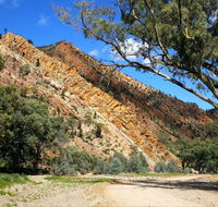 Aussie Heritage Tours - Accommodation Main Beach