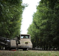 ODempseys Charters and Tours - Accommodation Main Beach