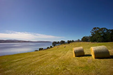 Coast House Tasmania - Accommodation Main Beach 4