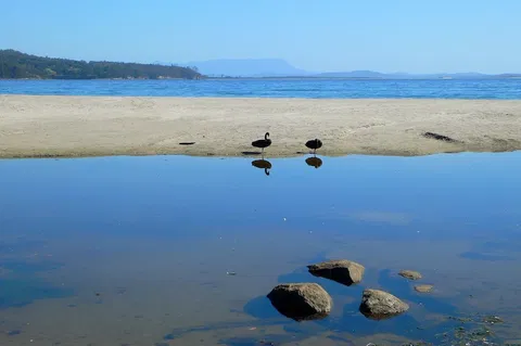 Coast House Tasmania - Accommodation Main Beach 6