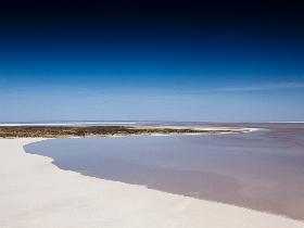 Goin' Off Safaris - Accommodation Main Beach 12