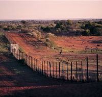Tri State Safaris - Accommodation Main Beach