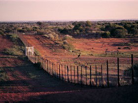 Tri State Safaris - Accommodation Main Beach 0