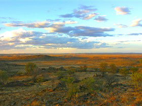 Tri State Safaris - Accommodation Main Beach 13