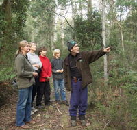 Great Western Tiers Forest Walks Tasmania - Accommodation Main Beach