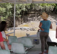 Whitsunday Crocodile Safari - Accommodation Main Beach