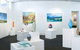 Framed–The Darwin Gallery - thumb 1