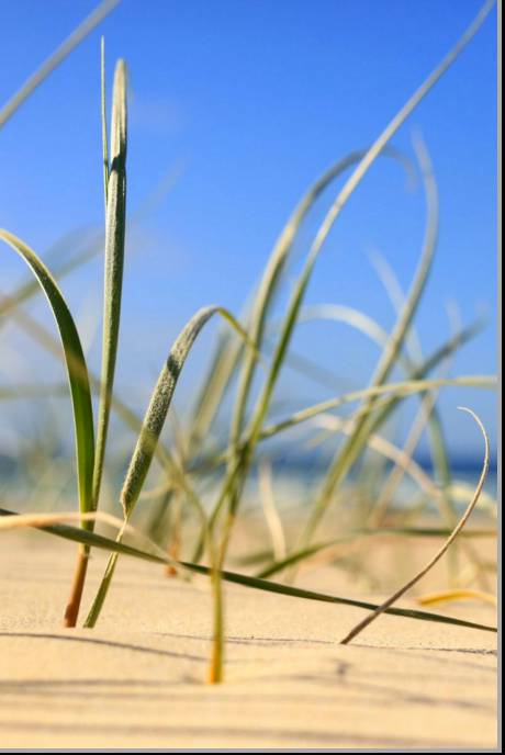 Coastal Visions Photography - Accommodation Main Beach 1