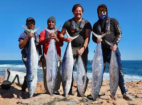 Perth Fishing Safaris - Accommodation Main Beach 1