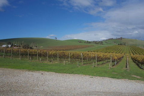 Wine Compass - Accommodation Main Beach 1