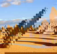 Pinnacles and Yanchep National Park Day Trip from Perth Including Lobster Shack Lunch and Sandboarding