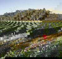 Margaret River Caves Wine and Cape Leeuwin Lighthouse Tour from Perth - Accommodation Main Beach