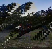 Stargazing Busselton with Mobile Observatory - Accommodation Main Beach