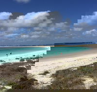 Abrolhos Island Half Day Fly and Flipper - Accommodation Main Beach