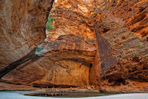 Bungle Bungle Stay Over With Scenic Flights, Guided Walk, Accommodation & Meals - Accommodation Main Beach 0