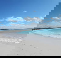 Shipwreck Special Nature Tour/Half Day Tour - Accommodation Main Beach