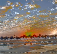 Broome City Sightseeing Tour with Optional Camel Ride - Accommodation Main Beach