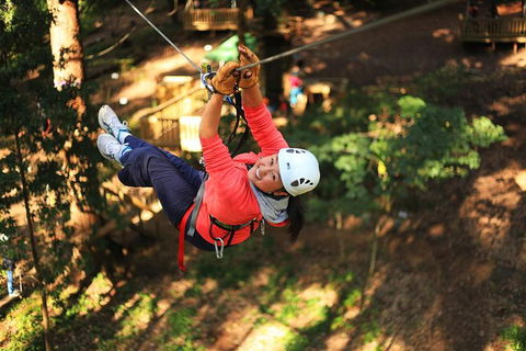 Trees Adventure Lane Poole Park - Treetop & Zipline Experience - Accommodation Main Beach 0