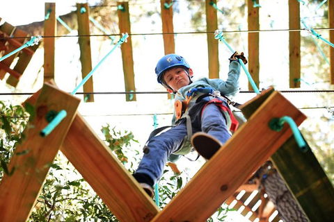 Trees Adventure Lane Poole Park - Treetop & Zipline Experience - Accommodation Main Beach 1