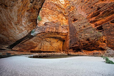 Bungle Bungle Scenic Flights, Domes & Cathedral Gorge Walk - Accommodation Main Beach 0