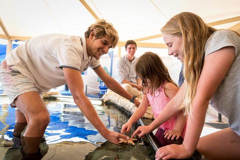 AQWA The Aquarium Of Western Australia: General Admission - Accommodation Main Beach 5
