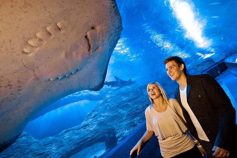 AQWA The Aquarium Of Western Australia: General Admission - Accommodation Main Beach 6