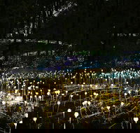 National Anzac Centre Field of Light Panorama Pass - Accommodation Main Beach