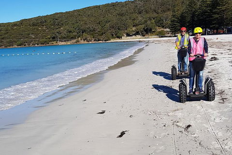Albany Summit To Sea Adventure - Guided Segway Tour - Accommodation Main Beach 1