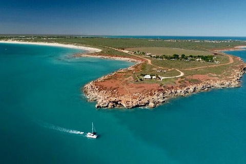 Half-Day Whale Watching Sunset Cruise From Broome - Accommodation Main Beach 10