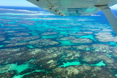 Kalbarri, Pink Lake And Abrolhos Islands Nature Tour - Accommodation Main Beach 5