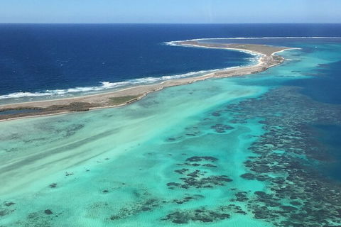 Kalbarri, Pink Lake And Abrolhos Islands Nature Tour - Accommodation Main Beach 2