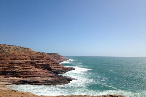 Kalbarri, Pink Lake And Abrolhos Islands Nature Tour - Accommodation Main Beach 1