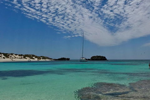 Rottnest Island Sailing Day Trip From Fremantle - Accommodation Main Beach 6