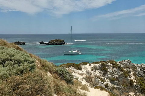 Rottnest Island Sailing Day Trip From Fremantle - Accommodation Main Beach 4