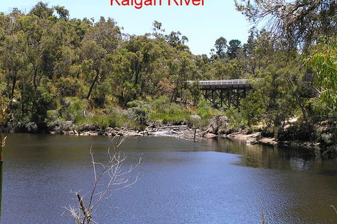 Kalgan Queen Scenic Cruises A Four Hour Sheltered Water Wildlife Tour Daily Fun. - Accommodation Main Beach 3