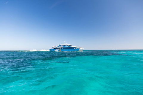Rottnest Island Bike & Ferry Package From Fremantle - Accommodation Main Beach 8